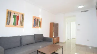 Apartment in Racó de l'Oix photo 8