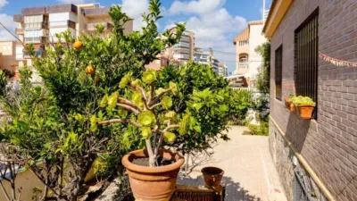 Casa en venta en Torrevieja, Torrevieja de 850.000 €