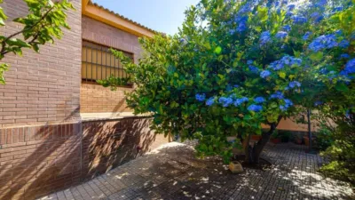 Casa en venta en Torrevieja, Torrevieja de 850.000 €