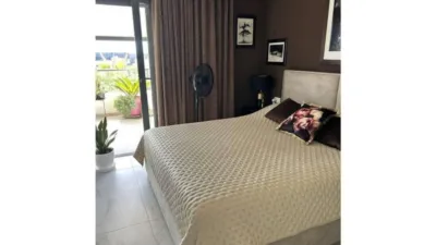Apartment in Sorihuela del Guadalimar photo 13