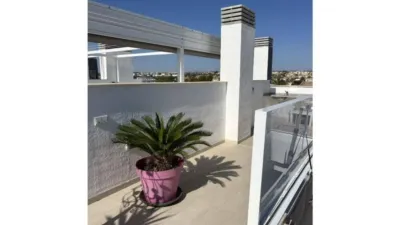Apartment in Sorihuela del Guadalimar photo 26