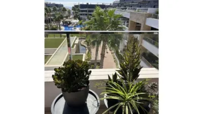 Apartment in Sorihuela del Guadalimar photo 32
