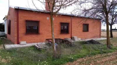 Miniatura 12