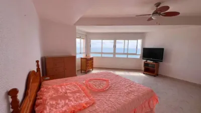 Apartment in Torrevieja photo 7