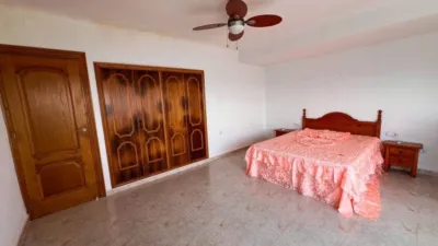 Apartment in Torrevieja photo 9