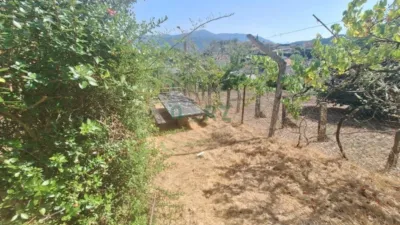 House in A Franqueiran photo 34