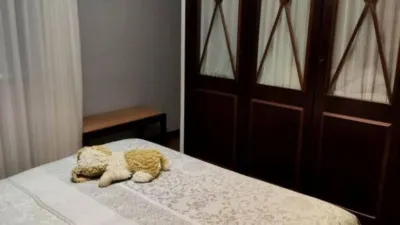 Apartment in the City Centre photo 5
