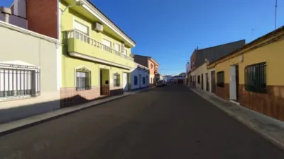 Miniatura 11