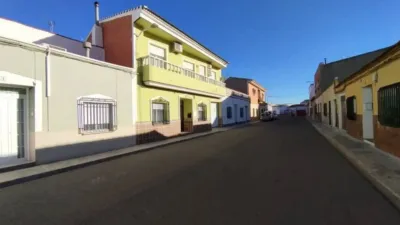 Miniatura 12