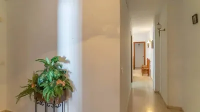 Apartment in Alhaurín el Grande photo 16