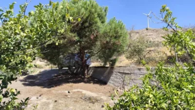Rustic house on Parcela Pago Cazorlas de Murchas Street photo 3