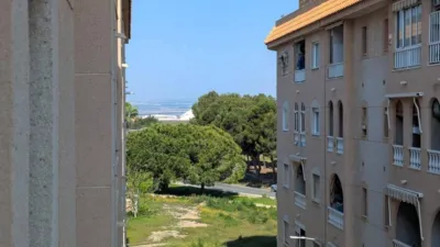 Pis – Torrevieja, San Roque - Vista 5