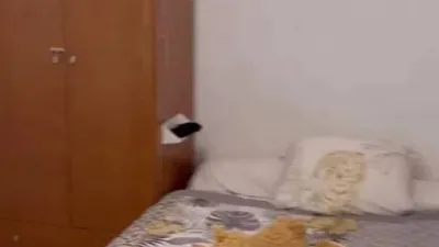 Piso en alquiler en Gaztambide - Imagen 8