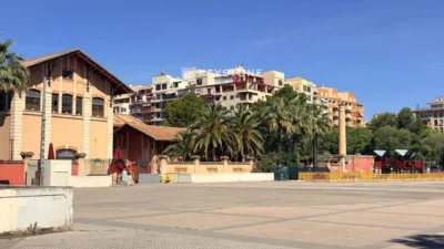 Apartment in Palma de Mallorca photo 39