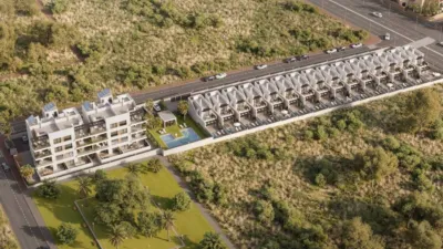 Pis – Torrevieja, Cabo Cervera-Playa la Mata - Vista 4