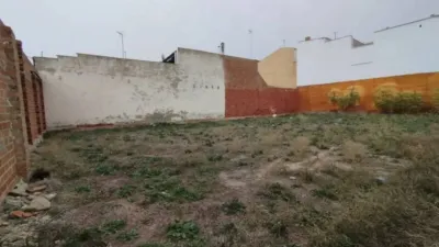 Miniatura 10