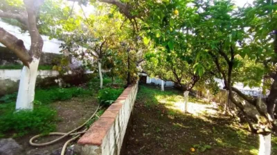 House in El Bosque photo 40