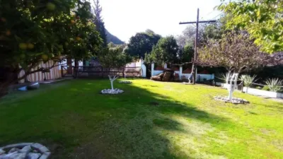 House in El Bosque photo 46