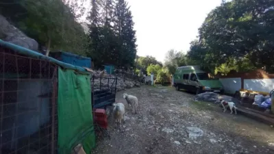 House in El Bosque photo 50