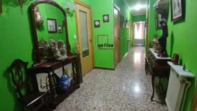 Miniatura 12