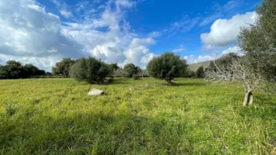 Rustic house in Capdepera photo 12