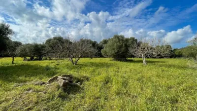 Rustic house in Capdepera photo 15