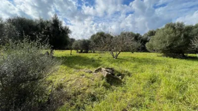 Rustic house in Capdepera photo 18