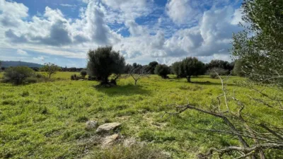 Rustic house in Capdepera photo 20