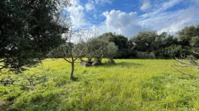 Rustic house in Capdepera photo 3