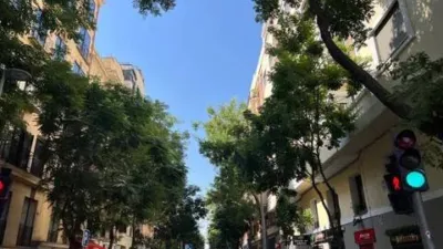 Piso en alquiler en Almagro - Imagen 21