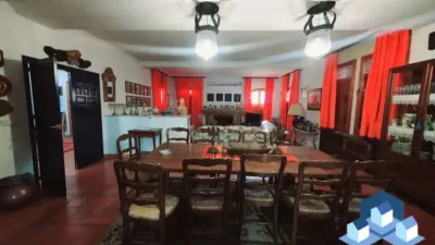 Chalet in Lorca photo 15