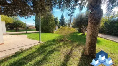 Chalet in Lorca photo 44