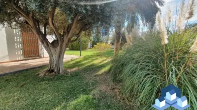 Chalet in Lorca photo 45