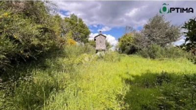 Rustic house in Silleda photo 10