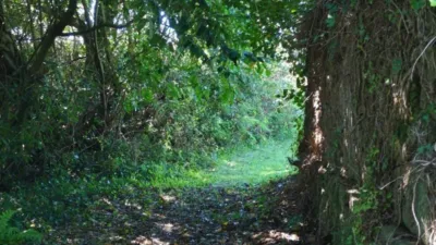 Casa – Moeche, A Alvariza - Vista 4