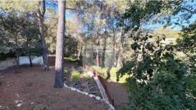 Chalet in Centro-Zona Alta photo 20