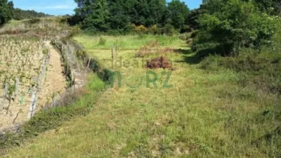 House in Ourense Capital photo 35