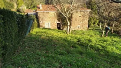 House in Cerdido photo 4