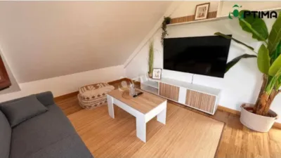 Apartment in Ribeira photo 3