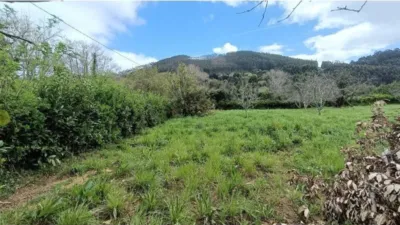 Rustic house in Cariño photo 25