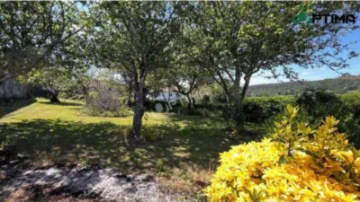 House in A Estrada photo 15