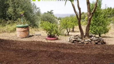 House in Lorca photo 15