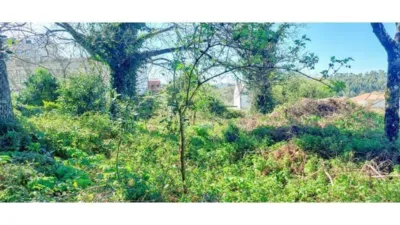 Rustic house in Silleda (Casco Urbano) photo 18