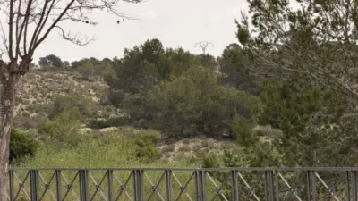Terreno en venta en Estación de Monforte del Cid - Vista 5