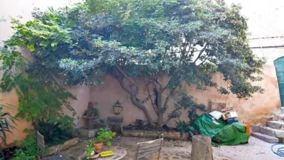 Townhouse in Sóller photo 13