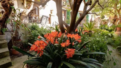 House in Sineu photo 12