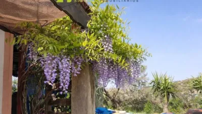 House in Lorca photo 3