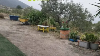 House in Lorca photo 14