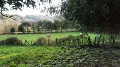 House in Cerdido photo 7