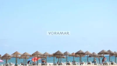 Apartment in Alboraya photo 45